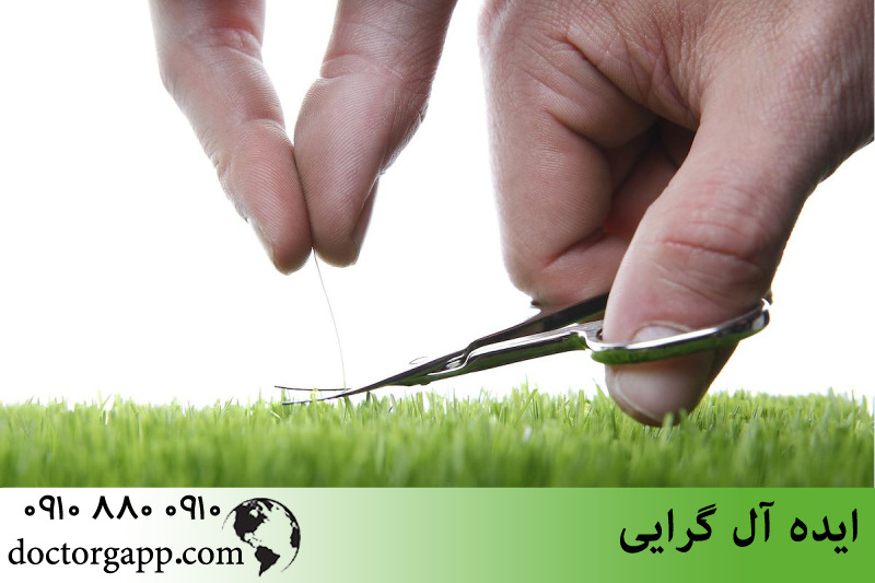 ایده آل گرایی 